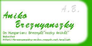 aniko breznyanszky business card